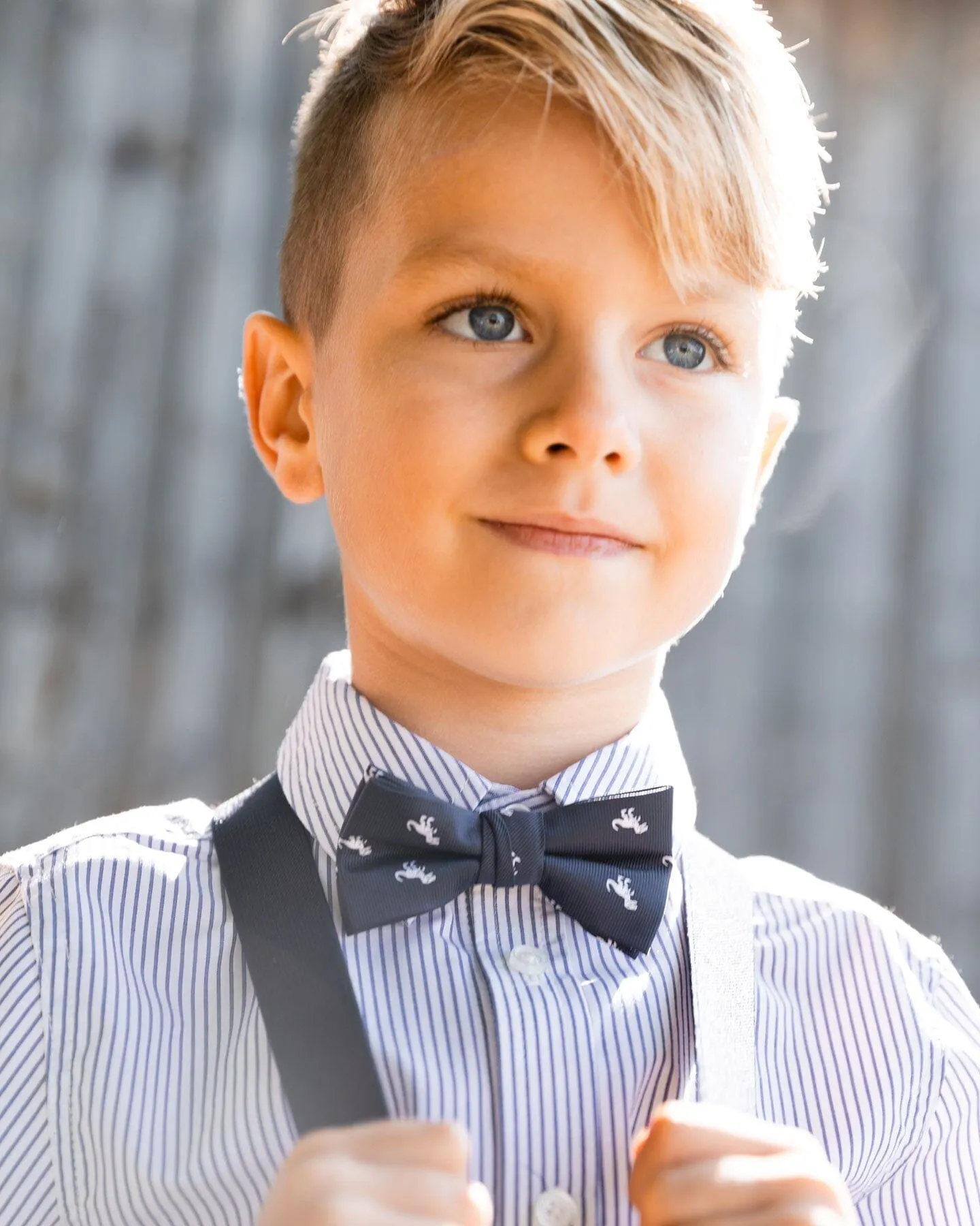 Bow Tie Navy Blue And Dino