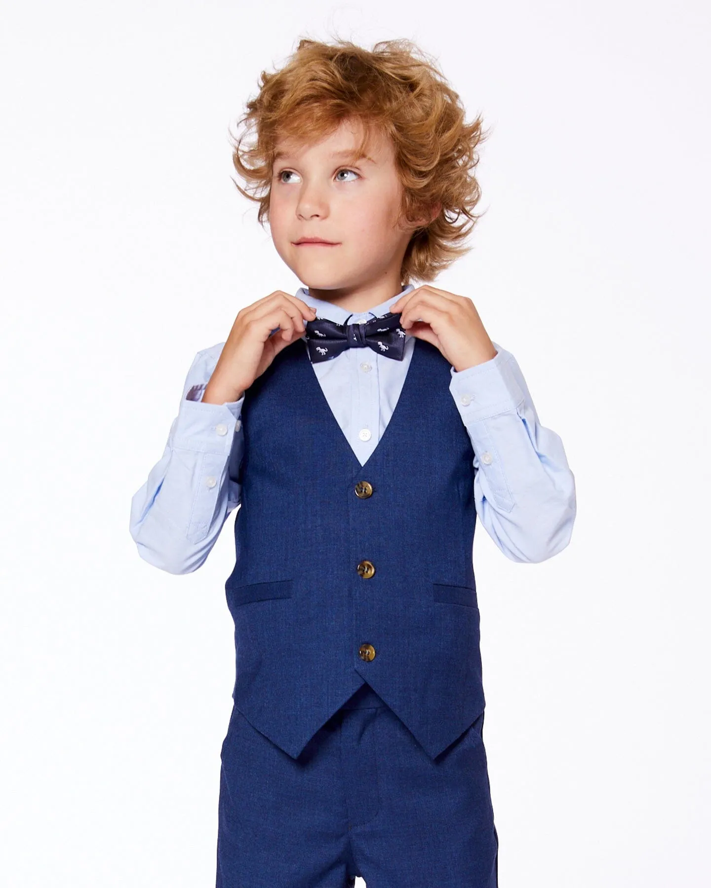 Bow Tie Navy Blue And Dino